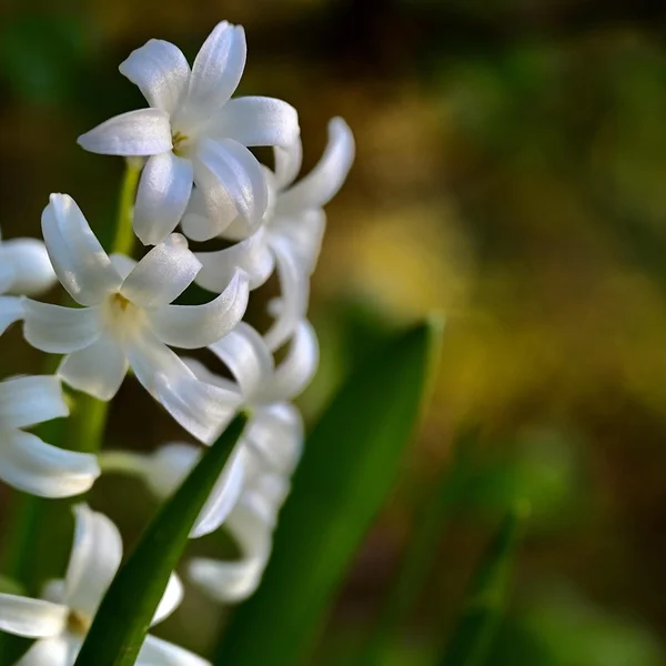 博业体育棋牌游戏